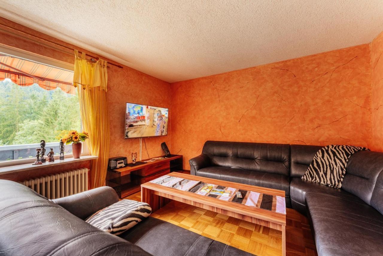 Ferienwohnungen Und Ferienhaus Hafermarkt Wildemann Luaran gambar