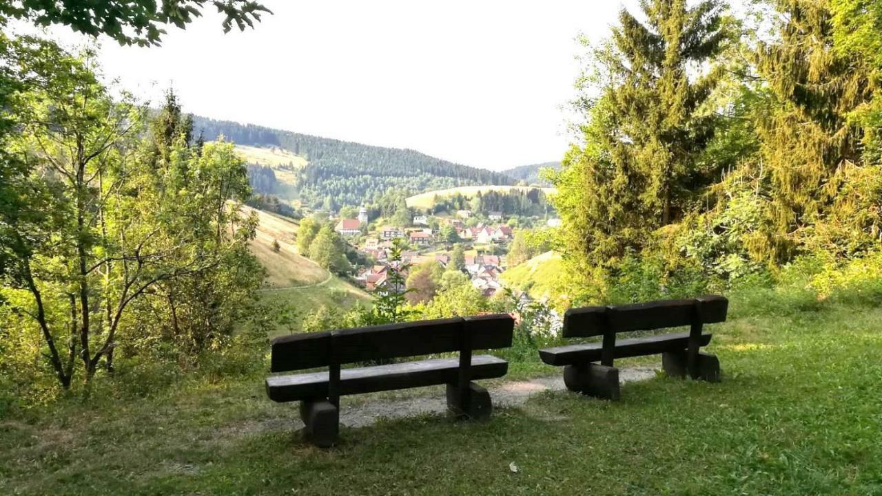 Ferienwohnungen Und Ferienhaus Hafermarkt Wildemann Luaran gambar