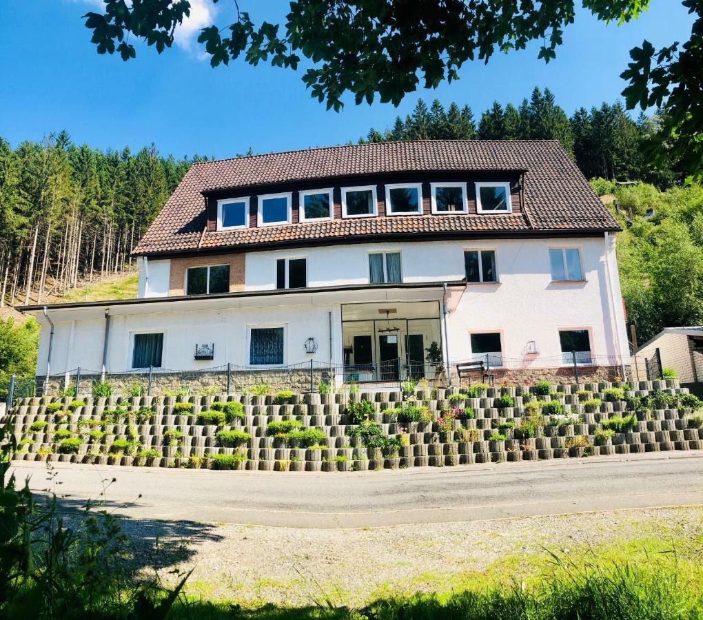 Ferienwohnungen Und Ferienhaus Hafermarkt Wildemann Luaran gambar